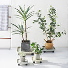 گیاه خاکستری گرد گیاه بوته ای روی چرخ ظروف گلدان پلاستیکی گیاه 43 سانتی متر
