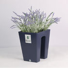 گلدانهای گیاهان خانگی مخصوص آبیاری زین به شکل H22cm برای بالکن یا میز اداری