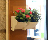 پلاستیک آویزان بر روی دیوار می تواند گلدان های داخل آب گلدان های H15 سانتی متر را پوشش دهد